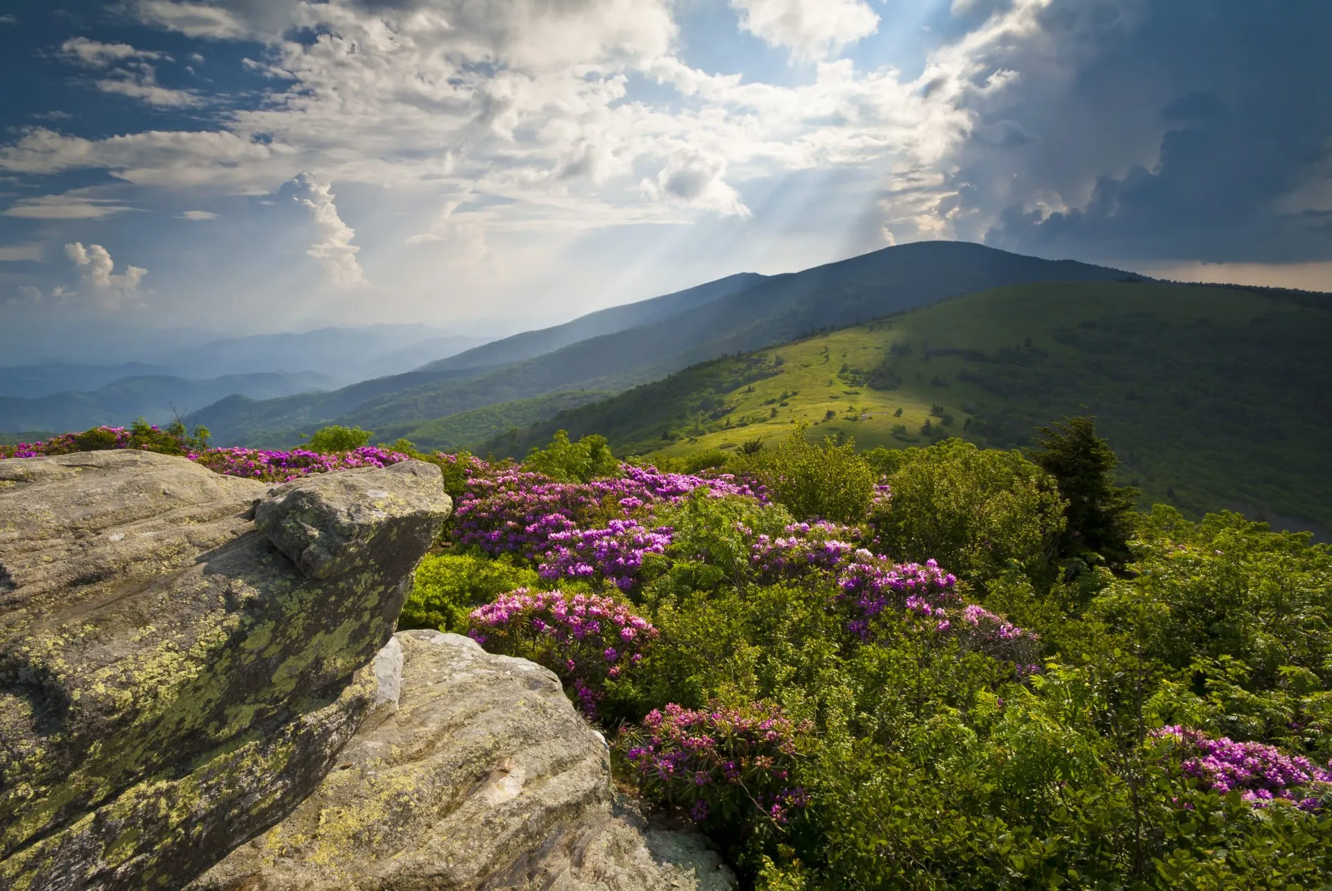 Beautiful mountain vista showing beginner-friendly hiking trails in the US